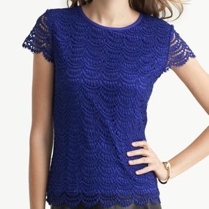 Banana Republic- Scalloped Lace Tee